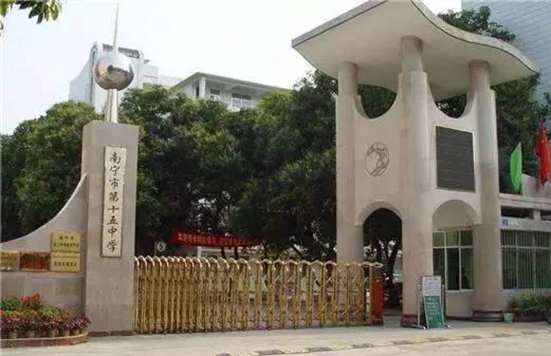 如何在个人陈述中生动描绘你的高中教育经历？这是一个让无数学生头疼的问题。今天，我们就通过一个真实的故事来解开这个谜团。
