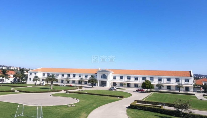 深度研究类：南宁市第十五中学高中教育服务平台解析